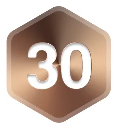 badge